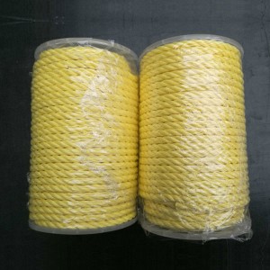 Newly Arrival High Strength Aramid Rope - High Strength 3 Strands Polyester Rope – Florescence