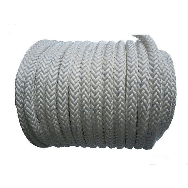 One of Hottest for Black Pp Combination Galvanized Steel Wire Rope - High Strength 12 Strands Polyester Rope – Florescence