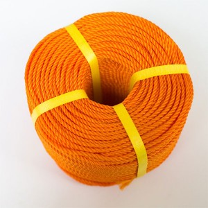 Lowest Price for Braided Uhmwpe Rope - Colored 3 Strands Polyethylene Rope – Florescence