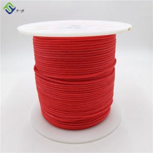 Multicolor 12 Strand Braided 3mm Paralider Winch Rope UHMWPE