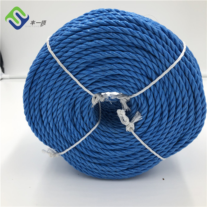 Factory For Fire Flame Rope - Wholesale 3 Strand Twisted Polypropylene Plastic Packaging Rope – Florescence